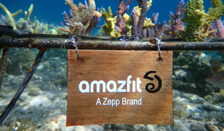 Zepp HealthとCoral Guardianによるサンゴ礁再生活動 ― 1年後の成果