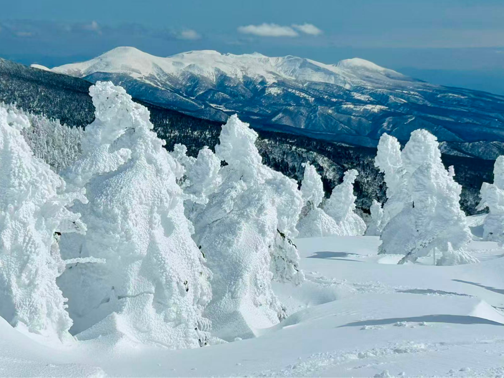 氷瀑とスノーモンスターを訪ねて｜仙人沢アイスガーデンから蔵王山へ、スノーシューハイク旅
