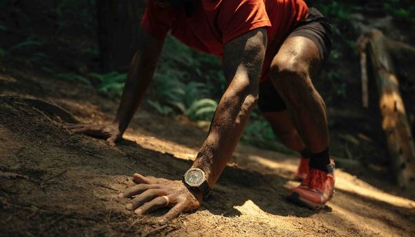 T-Rex 3 - 春のハイキングを制覇するための機能